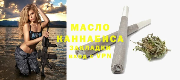 меф Дмитриев