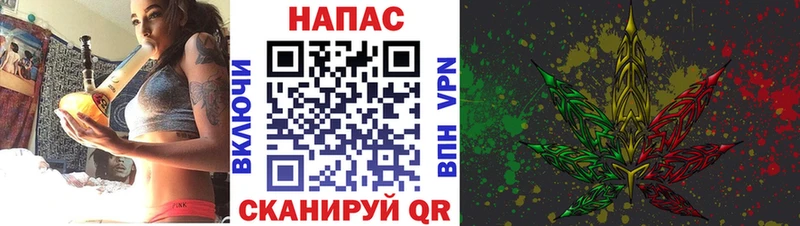 Каннабис планчик Невель